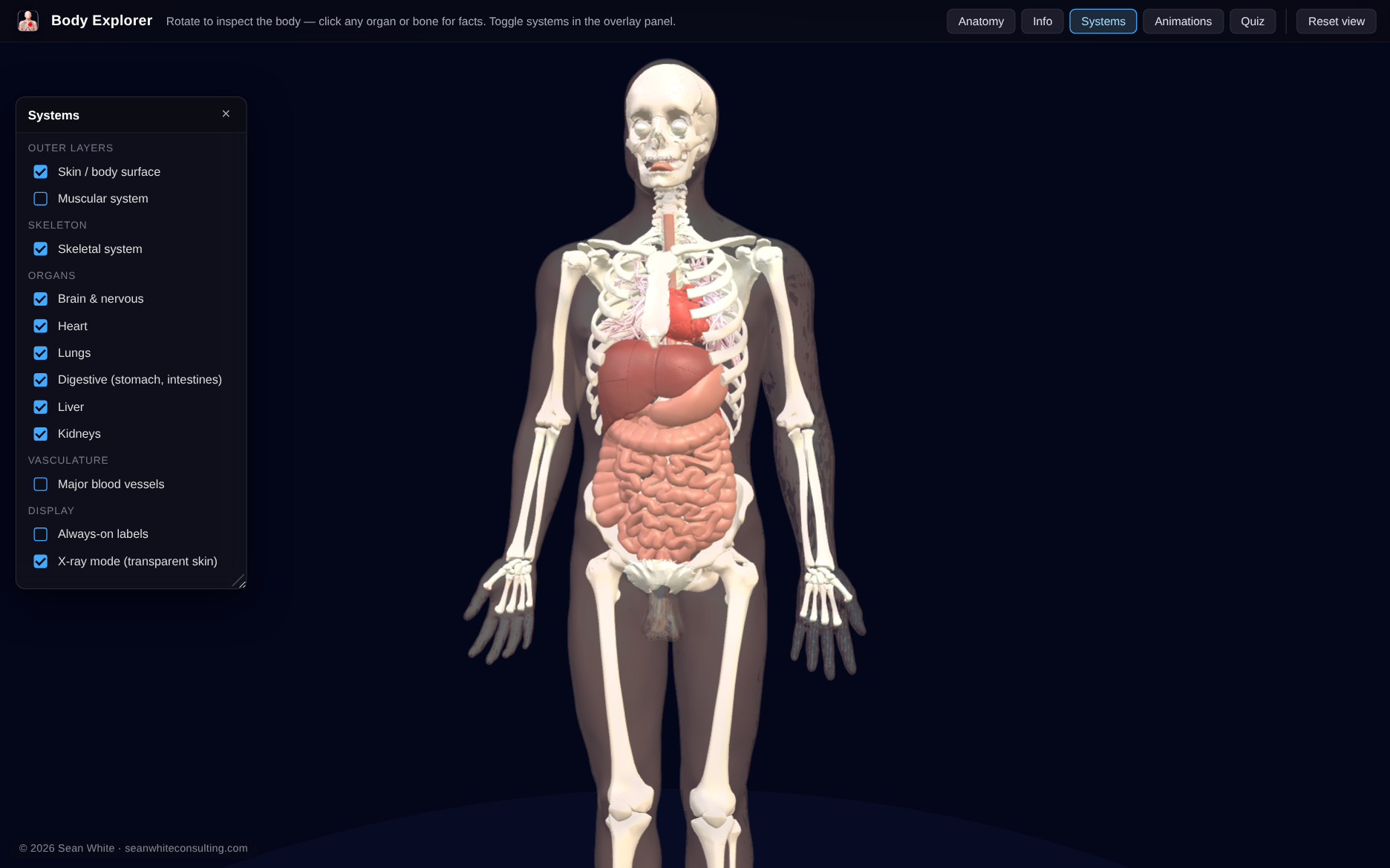 Body Explorer