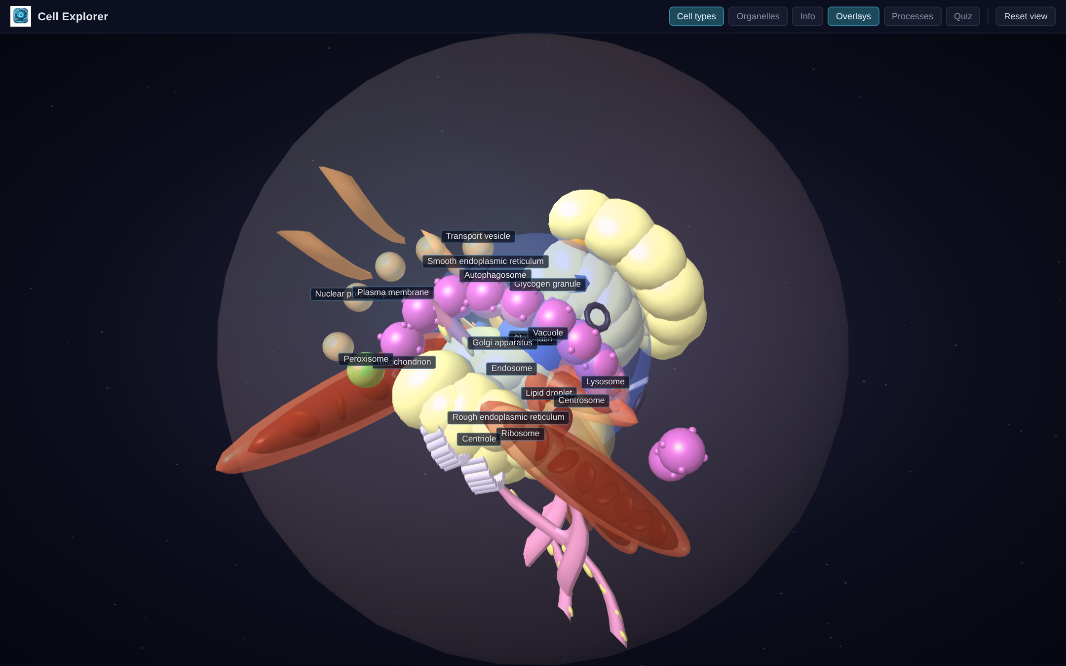 Cell Explorer screenshot