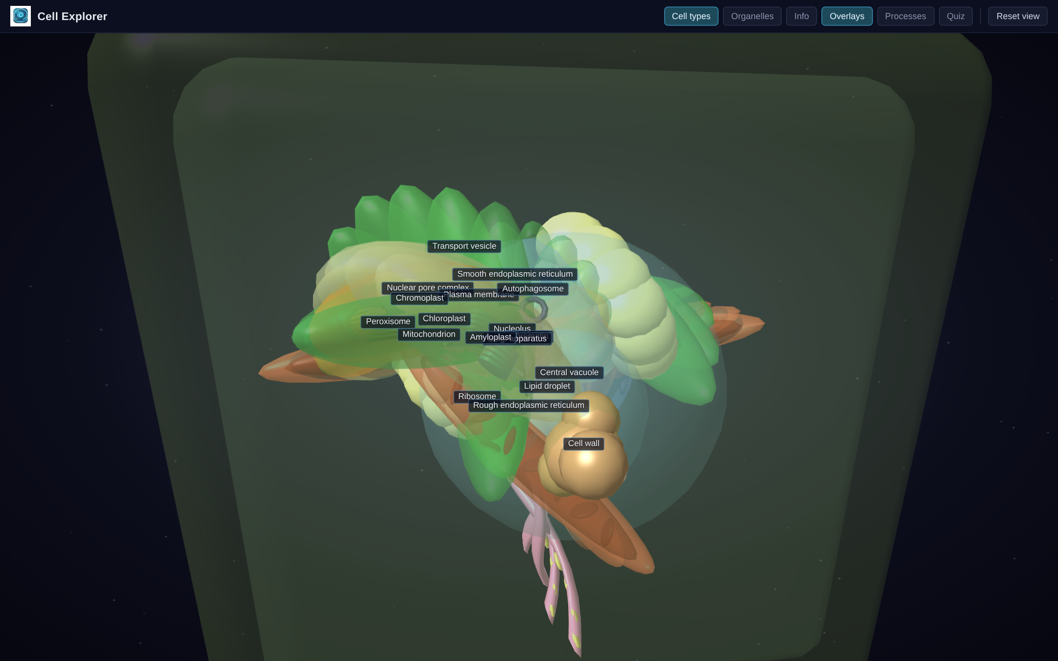Many cells, one explorer — screenshot