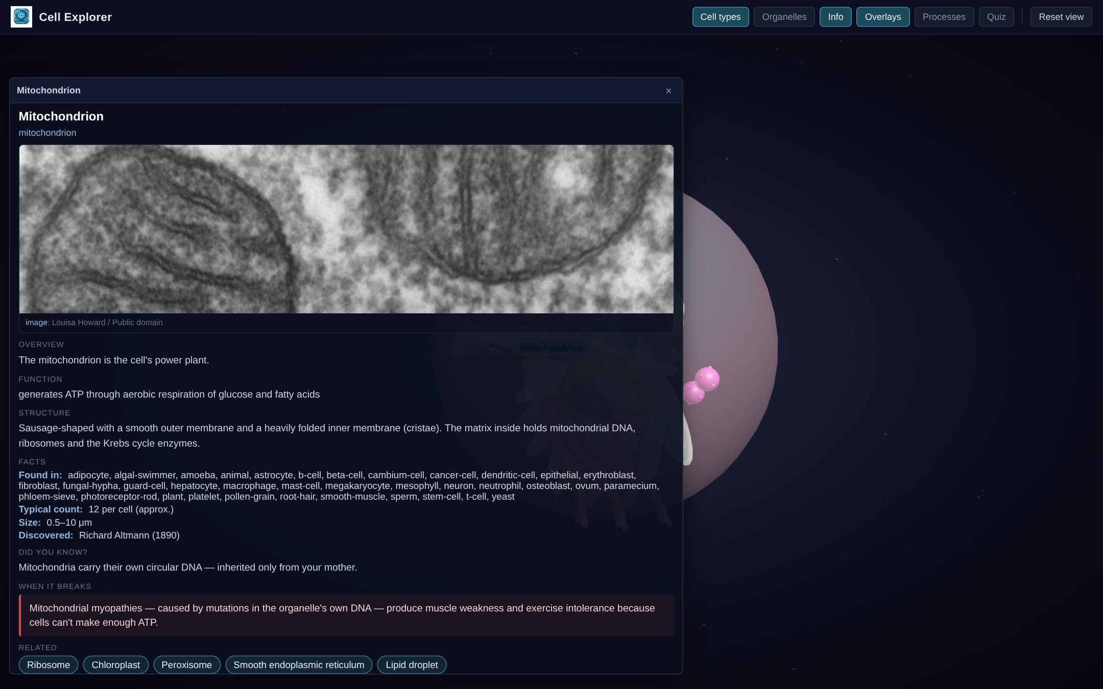 Click any organelle to learn it — screenshot